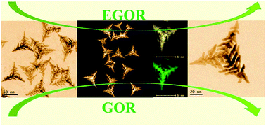 Graphical abstract: Hierarchical branched platinum–copper tripods as highly active and stable catalysts