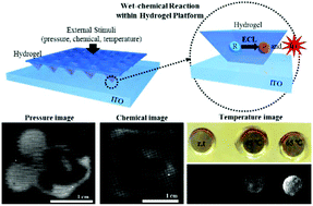 Graphical abstract: A wet-chemistry-based hydrogel sensing platform for 2D imaging of pressure, chemicals and temperature