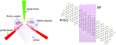 Graphical abstract: Modulation of photothermal anisotropy using black phosphorus/rhenium diselenide heterostructures