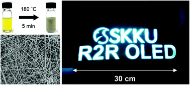 Graphical abstract: Five-minute synthesis of silver nanowires and their roll-to-roll processing for large-area organic light emitting diodes