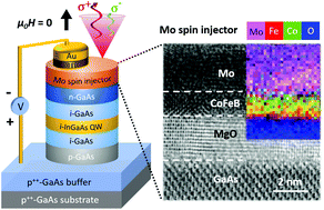 Graphical abstract: Atomic-scale understanding of high thermal stability of the Mo/CoFeB/MgO spin injector for spin-injection in remanence