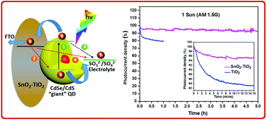 Graphical abstract: Highly stable photoelectrochemical cells for hydrogen production using a SnO2–TiO2/quantum dot heterostructured photoanode