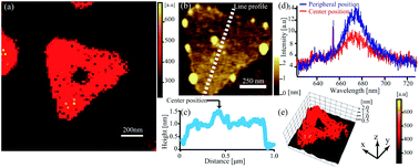 Graphical abstract: Probing the nanoscale light emission properties of a CVD-grown MoS2 monolayer by tip-enhanced photoluminescence