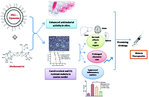 Graphical abstract: Long circulatory liposomal maduramicin inhibits the growth of Plasmodium falciparum blood stages in culture and cures murine models of experimental malaria