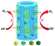 Graphical abstract: PbTe quantum dots as electron transfer intermediates for the enhanced hydrogen evolution reaction of amorphous MoSx/TiO2 nanotube arrays
