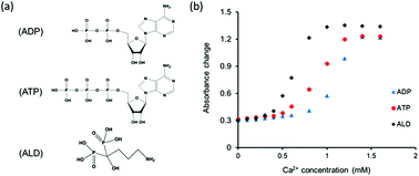 Graphical abstract: A novel alendronate functionalized nanoprobe for simple colorimetric detection of cancer-associated hypercalcemia
