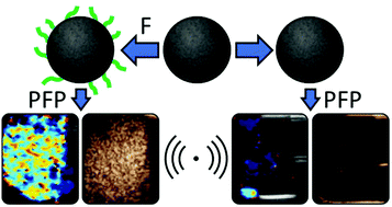 Graphical abstract: Perfluorocarbon-loaded polydopamine nanoparticles as ultrasound contrast agents