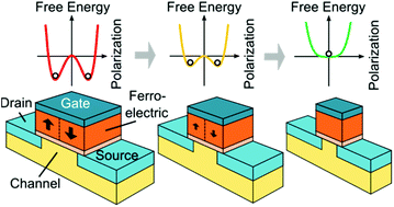 Graphical abstract: On the stabilization of ferroelectric negative capacitance in nanoscale devices