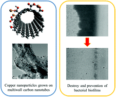 Graphical abstract: Engineering copper nanoparticles synthesized on the surface of carbon nanotubes for anti-microbial and anti-biofilm applications