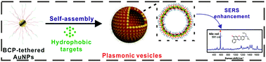 Graphical abstract: Controllable self-assembled plasmonic vesicle-based three-dimensional SERS platform for picomolar detection of hydrophobic contaminants