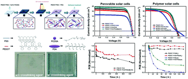 Graphical abstract: Water-resistant PEDOT:PSS hole transport layers by incorporating a photo-crosslinking agent for high-performance perovskite and polymer solar cells