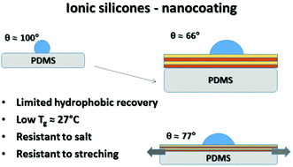Graphical abstract: Robust nanocoatings based on ionic silicones