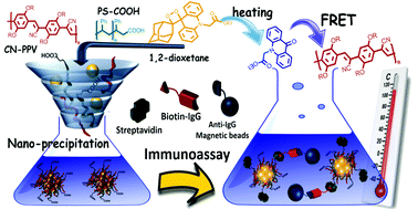Graphical abstract: Thermochemiluminescent semiconducting polymer dots as sensitive nanoprobes for reagentless immunoassay