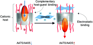Graphical abstract: A supramolecular host–guest complex for heparin binding and sensing