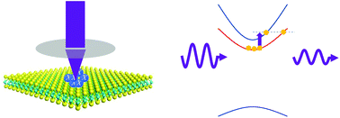 Graphical abstract: Probing excitons in transition metal dichalcogenides by Drude-like exciton intraband absorption