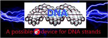 Graphical abstract: Native DNA electronics: is it a matter of nanoscale assembly?