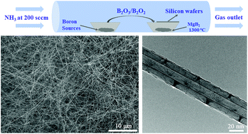 Graphical abstract: Growth of boron nitride nanotubes from magnesium diboride catalysts