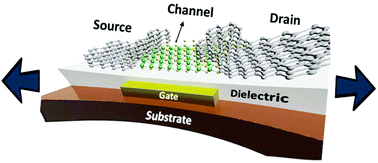 Graphical abstract: Stretchable thin-film transistors with molybdenum disulfide channels and graphene electrodes