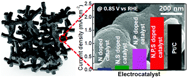 Graphical abstract: Electrostatically regulated ternary-doped carbon foams with exposed active sites as metal-free oxygen reduction electrocatalysts