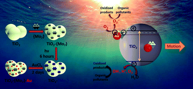 Graphical abstract: Visible light driven catalytic gold decorated soft-oxometalate (SOM) based nanomotors for organic pollutant remediation