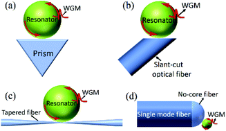 Graphical abstract: Optical bio-chemical sensors based on whispering gallery mode resonators