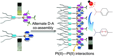 Graphical abstract: Supramolecular alternate donor–acceptor copolymers mediated by Pt⋯Pt metal–metal interactions and their photocatalytic applications
