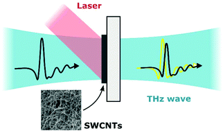 Graphical abstract: Optically controlled dielectric properties of single-walled carbon nanotubes for terahertz wave applications