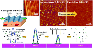 Graphical abstract: Smoothening of wrinkles in CVD-grown hexagonal boron nitride films