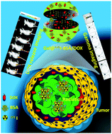 Graphical abstract: Development of a thermosensitive protein conjugated nanogel for enhanced radio-chemotherapy of cancer