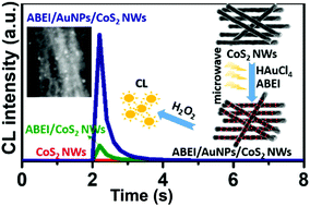 Graphical abstract: N-(Aminobutyl)-N-(ethylisoluminol)-functionalized gold nanoparticles on cobalt disulfide nanowire hybrids for the non-enzymatic chemiluminescence detection of H2O2