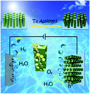 Graphical abstract: Ta-Doped porous TiO2 nanorod arrays by substrate-assisted synthesis: efficient photoelectrocatalysts for water oxidation