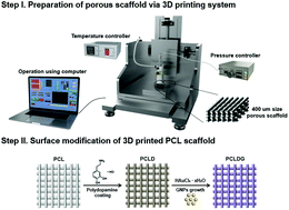 Graphical abstract: In situ gold nanoparticle growth on polydopamine-coated 3D-printed scaffolds improves osteogenic differentiation for bone tissue engineering applications: in vitro and in vivo studies