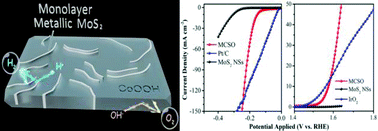 Graphical abstract: Stabilized monolayer 1T MoS2 embedded in CoOOH for highly efficient overall water splitting