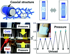 Graphical abstract: Coaxial struts and microfractured structures of compressible thermoelectric foams for self-powered pressure sensors