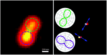 Graphical abstract: Polarization-based super-resolution imaging of surface-enhanced Raman scattering nanoparticles with orientational information