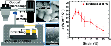 Graphical abstract: Unusual strain-dependent thermal conductivity modulation of silver nanoflower-polyurethane fibers