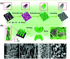 Graphical abstract: Hedgehog-inspired nanostructures for hydrogel-based all-solid-state hybrid supercapacitors with excellent flexibility and electrochemical performance