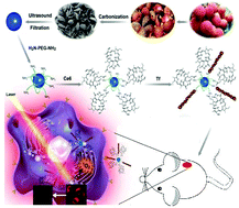 Graphical abstract: Dual functionalized natural biomass carbon dots from lychee exocarp for cancer cell targetable near-infrared fluorescence imaging and photodynamic therapy
