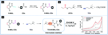 Graphical abstract: N-Carbamoylmaleimide-treated carbon dots: stabilizing the electrochemical intermediate and extending it for the ultrasensitive detection of organophosphate pesticides