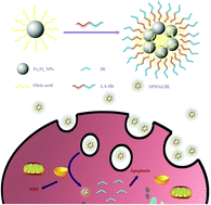 Graphical abstract: A facile approach to fabricate self-assembled magnetic nanotheranostics for drug delivery and imaging