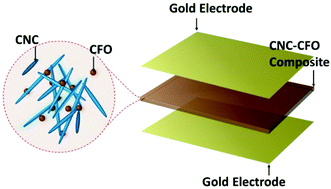 Graphical abstract: Magnetoelectric coupling in nanoscale 0–1 connectivity