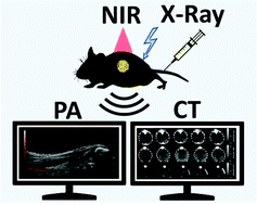 Graphical abstract: Wulff in a cage gold nanoparticles as contrast agents for computed tomography and photoacoustic imaging