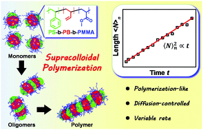 Graphical abstract: Polymerization-like kinetics of the self-assembly of colloidal nanoparticles into supracolloidal polymers
