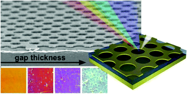 Graphical abstract: Surface plasmon modes of nanomesh-on-mirror nanocavities prepared by nanosphere lithography