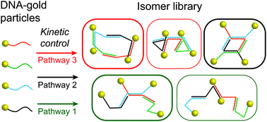 Graphical abstract: Plasmonic isomers via DNA-based self-assembly of gold nanoparticles