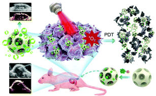 Graphical abstract: A catalase-loaded hierarchical zeolite as an implantable nanocapsule for ultrasound-guided oxygen self-sufficient photodynamic therapy against pancreatic cancer