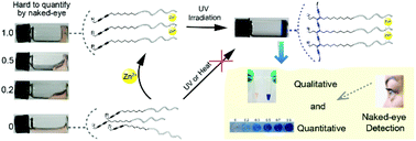Graphical abstract: Fast naked-eye detection of zinc ions by molecular assembly-assisted polymerization of diacetylene