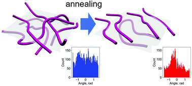 Graphical abstract: Molecular reorganization in bulk bottlebrush polymers: direct observation via nanoscale imaging