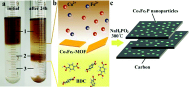 Graphical abstract: Ultrafine bimetallic phosphide nanoparticles embedded in carbon nanosheets: two-dimensional metal–organic framework-derived non-noble electrocatalysts for the highly efficient oxygen evolution reaction