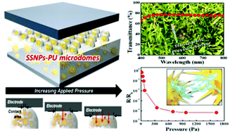 Graphical abstract: High-performance transparent pressure sensors based on sea-urchin shaped metal nanoparticles and polyurethane microdome arrays for real-time monitoring